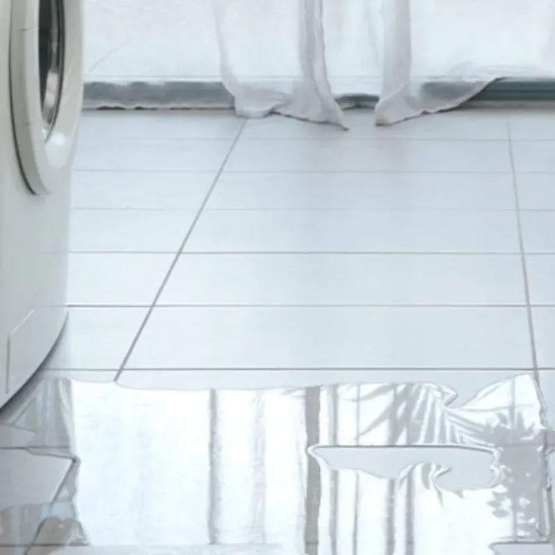 Appliance Leak Cleanup in Shinglehouse, PA