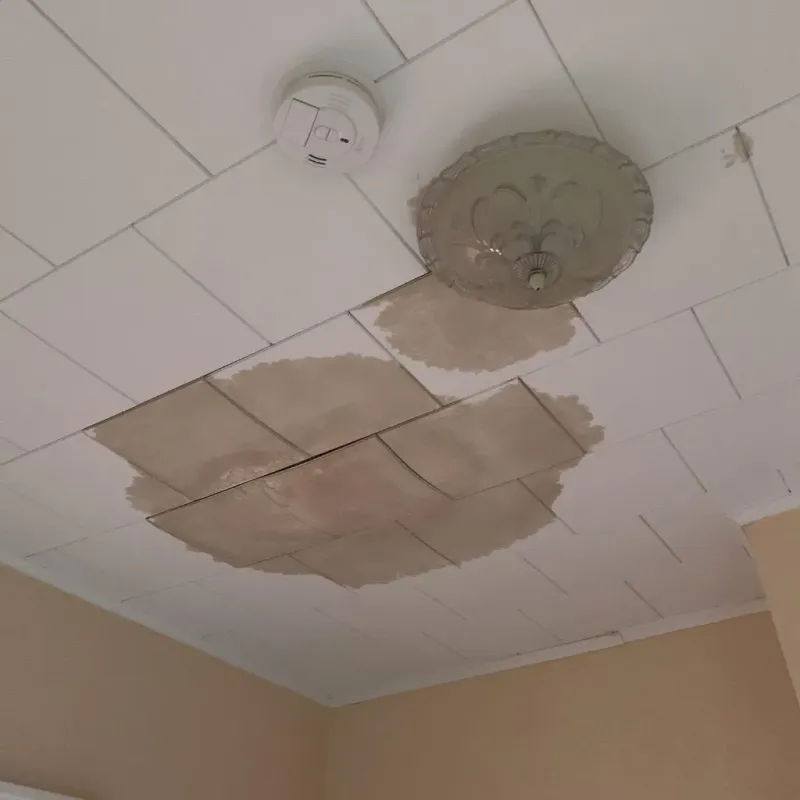 Ceiling Water Damage Repair in Shinglehouse, PA