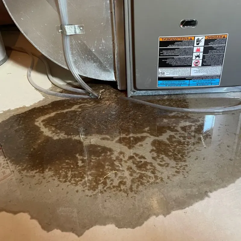 Pipe Burst and Leak Restoration in Shinglehouse, PA